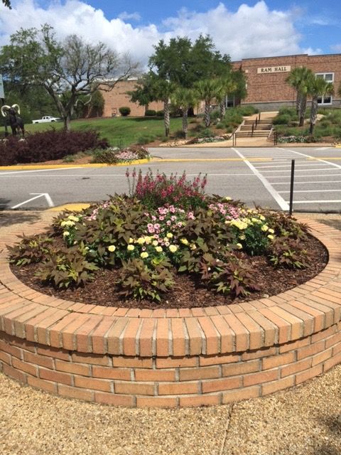 Brick flower bed with blooming pink and yellow flowers in front of a building under a blue sky.