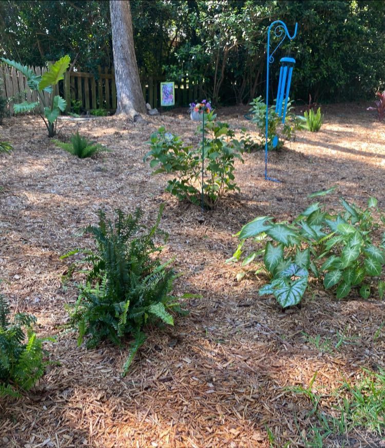 A garden with mulch, various plants, a bird feeder, and a tree, under sunlight.