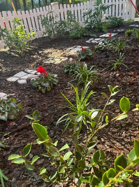 Flowerbed with red flowers and green plants, pathway, brown mulch, white picket fence in background.