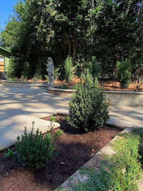 Lawn with a stone pathway leading to an arched arbor covered in vines. A house is on the left.