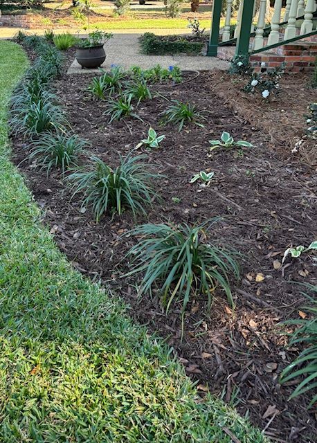 Lush garden bed with green plants, mulch, and lawn edge. Sunlight casts shadows.