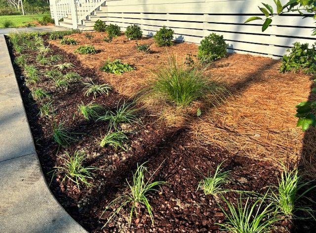 Garden bed with green plants, mulch, and a white house facade.
