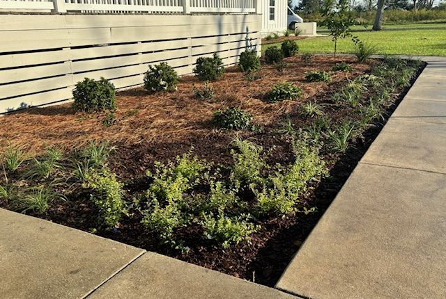 Flower bed with green plants, mulch, and a concrete sidewalk along a building's foundation.