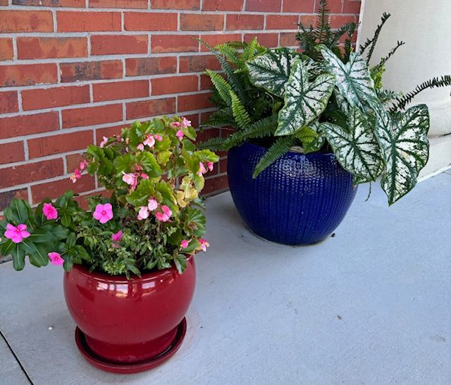 Two potted plants: one red with pink flowers, one blue with large green and white leaves, on a porch.