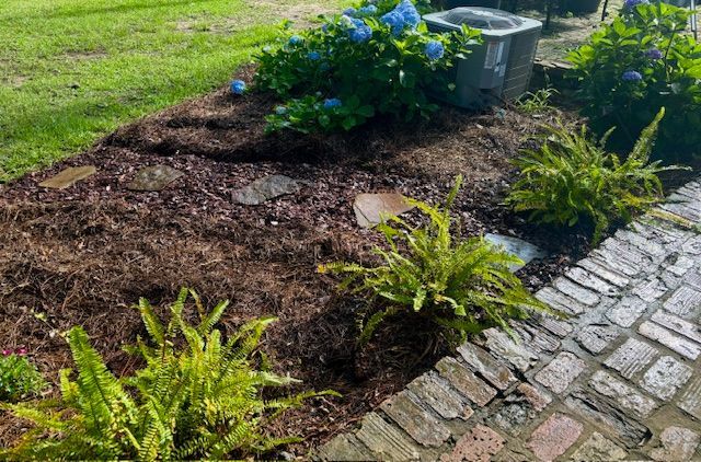 Ferns and blue hydrangeas in a mulched garden bed next to a brick path.