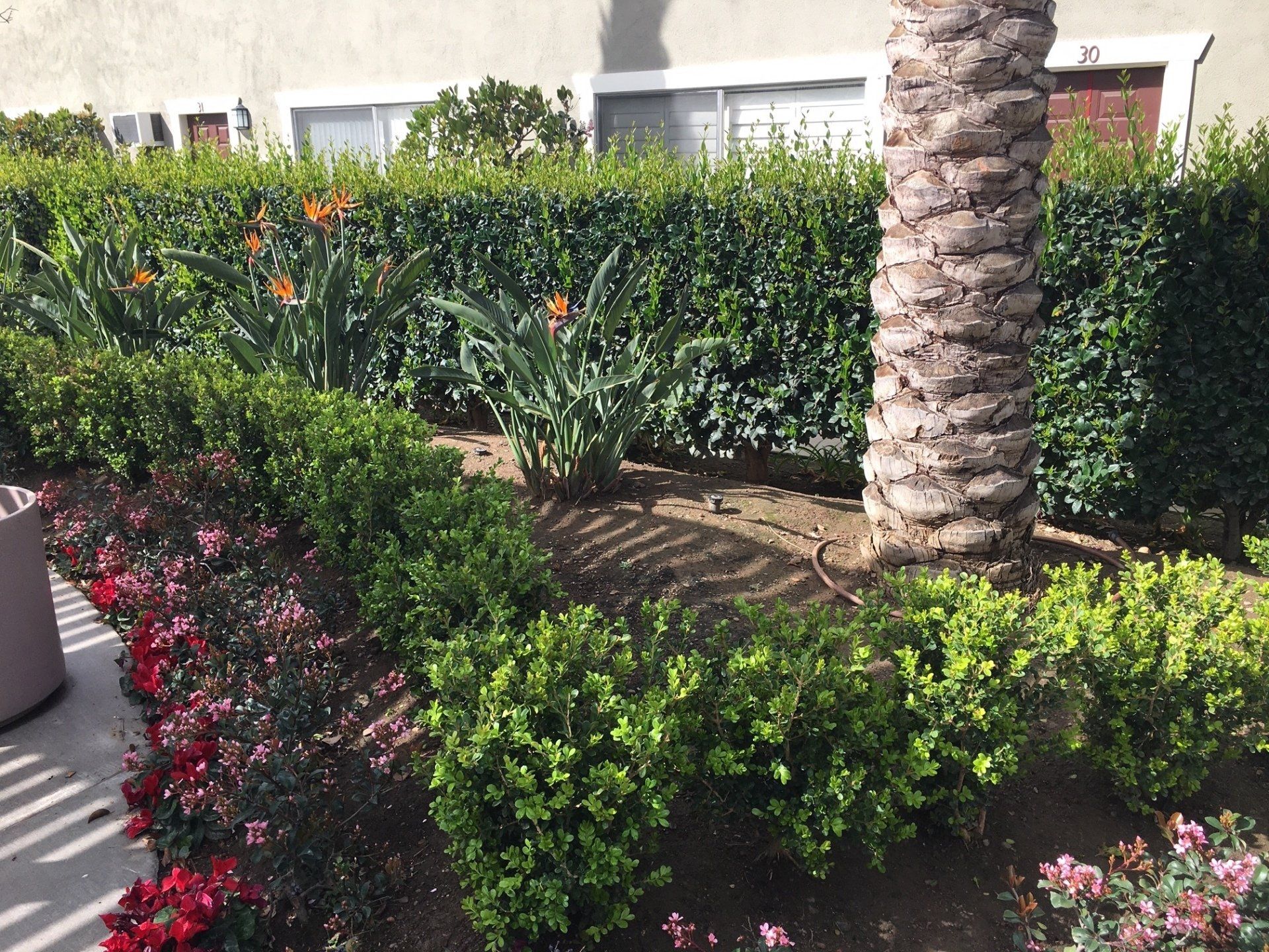 Americana Apartments Orange Gallery