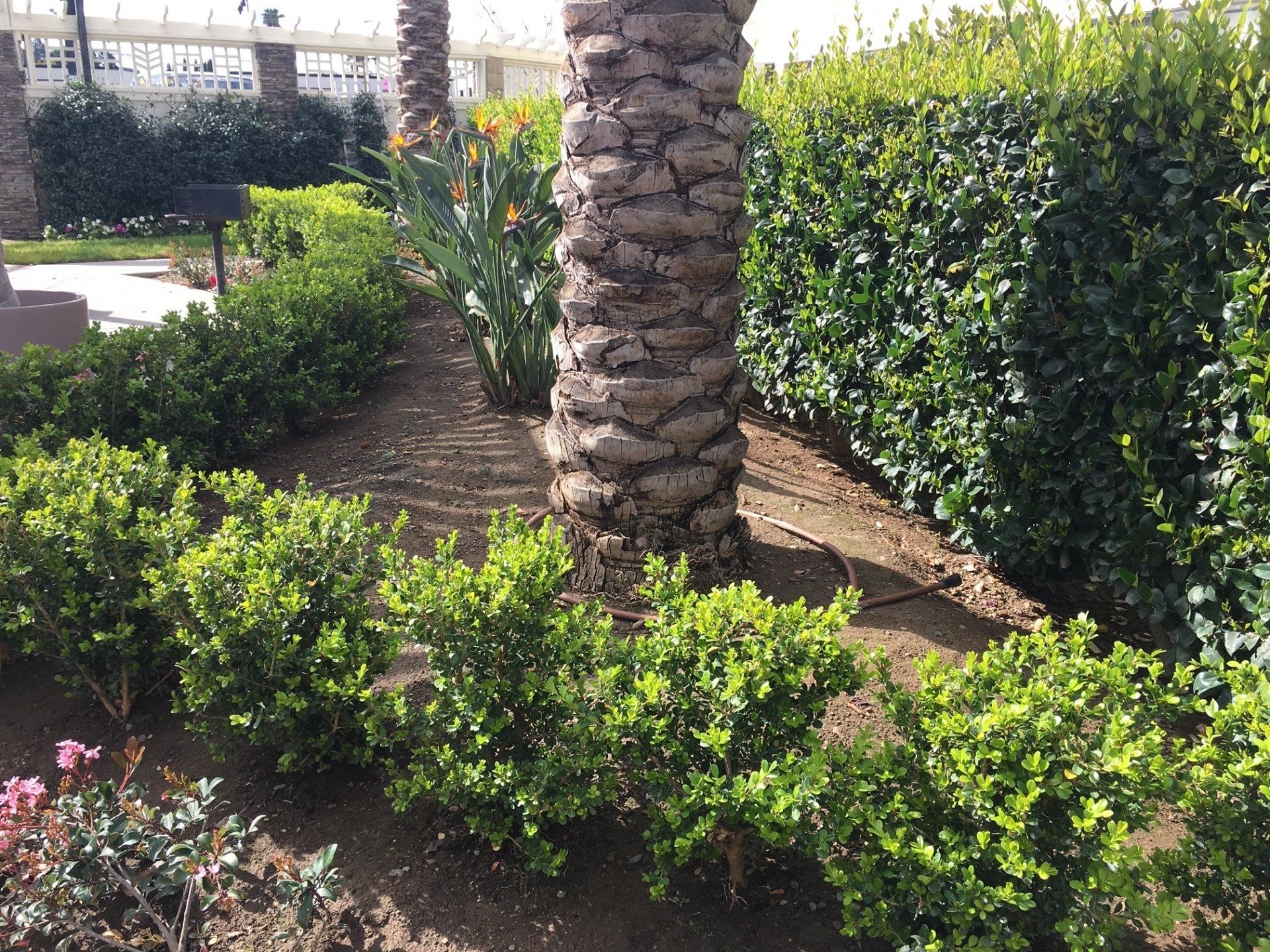 Americana Apartments Orange Gallery