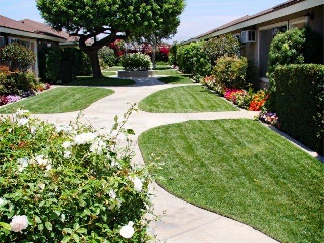 Americana Apartments Orange Gallery