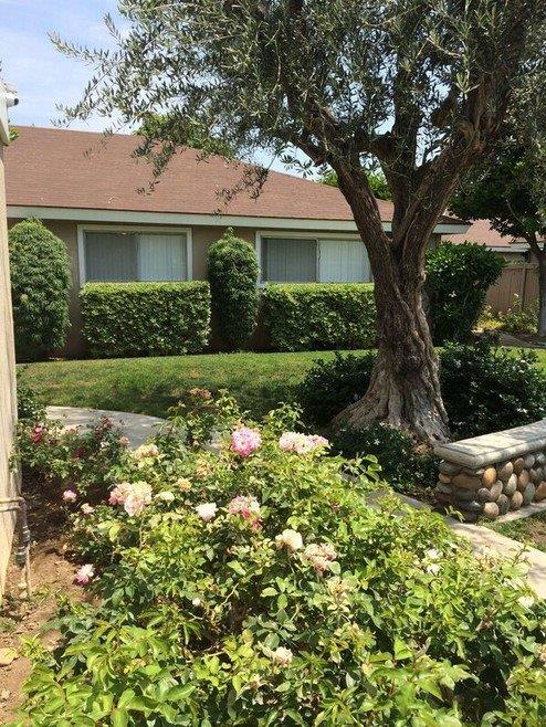 Americana Apartments Orange Gallery