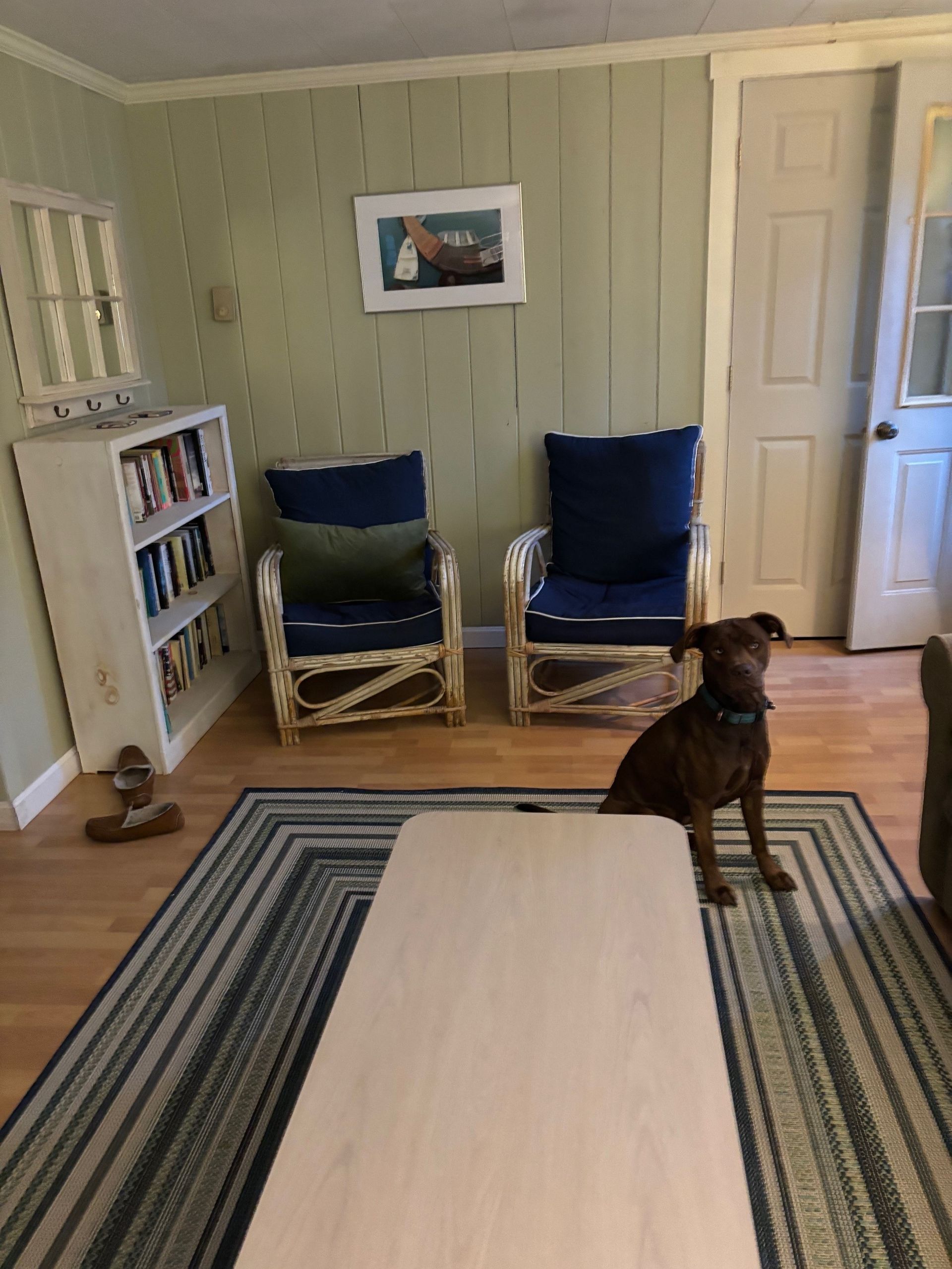 A dog is sitting on a coffee table in a living room.