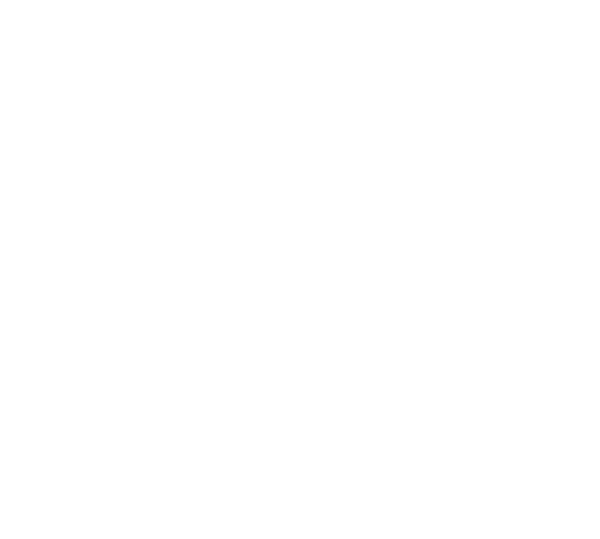 Batson River Brewery in Wells, Maine logo