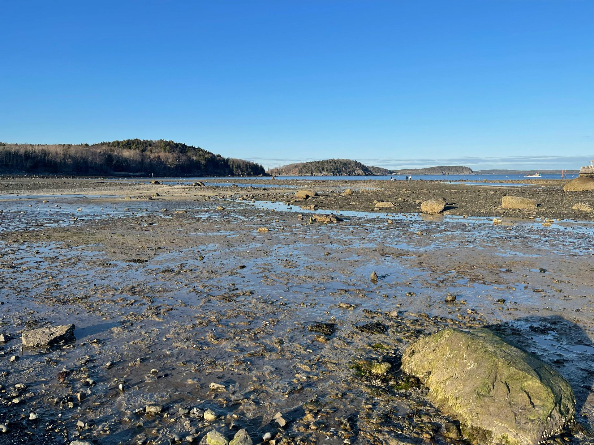 A muddy beach with a rock in the foreground and a blue sky in the background.