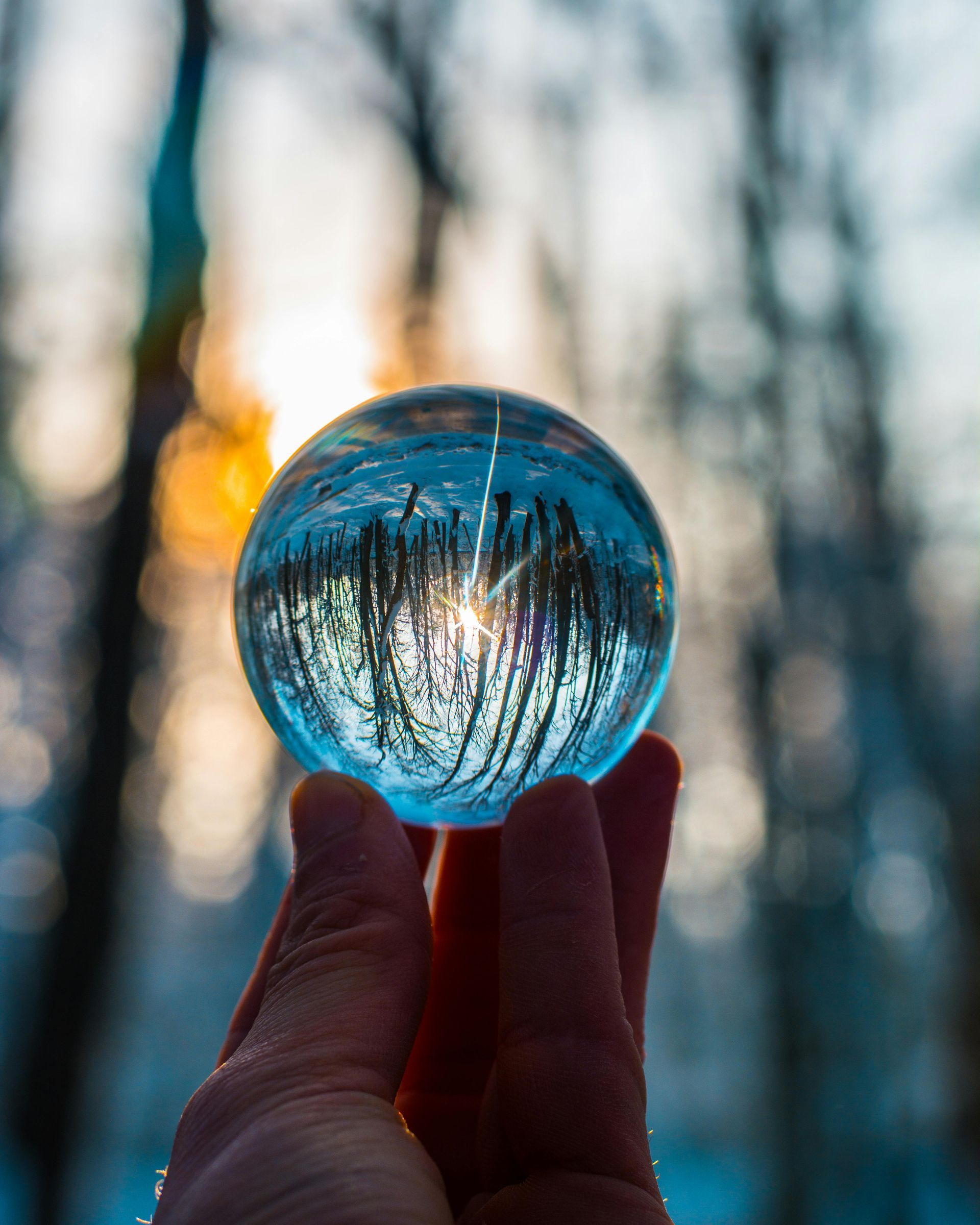 Hand holding a crystal ball, reflecting a winter forest scene with sunlight.