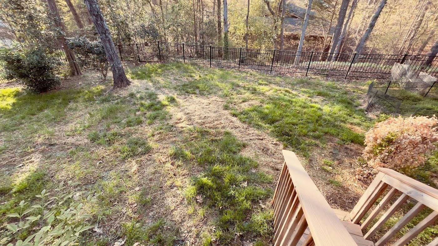 Backyard view from wooden stairs, featuring a grassy area with trees in the background.