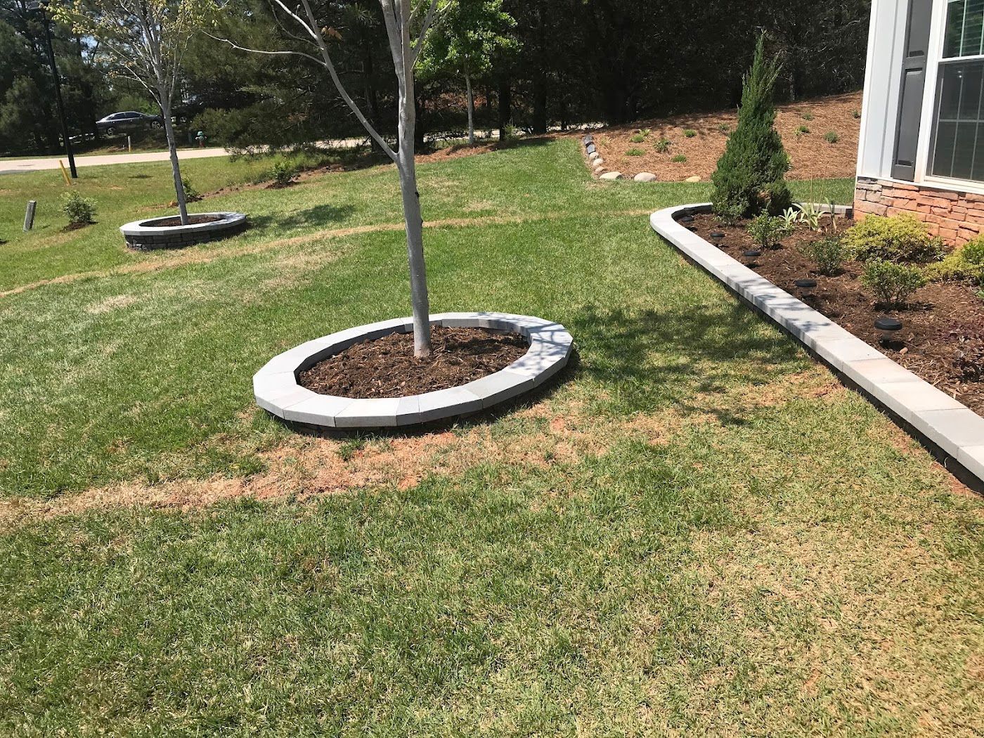 Grassy yard with concrete borders around trees and a garden bed next to a house.