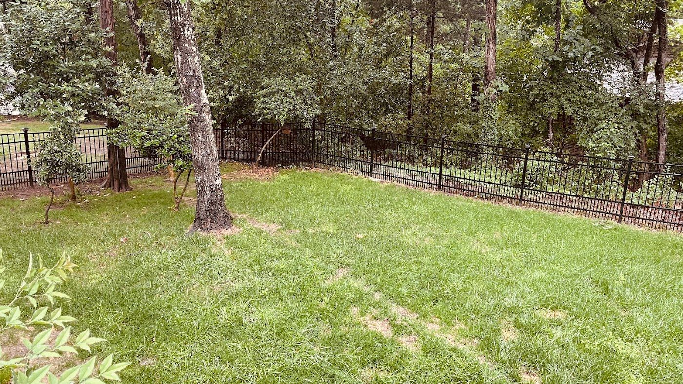 Green lawn bordered by black fence and trees.