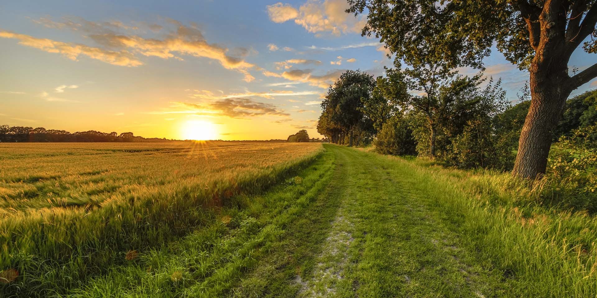 a family walking through a field with their arms outstretched