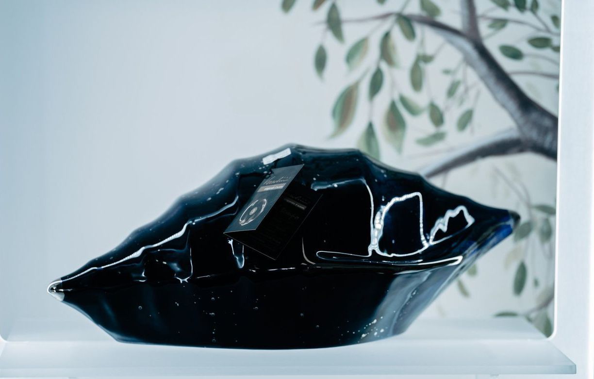 Un oggetto nero su uno scaffale con un albero sullo sfondo