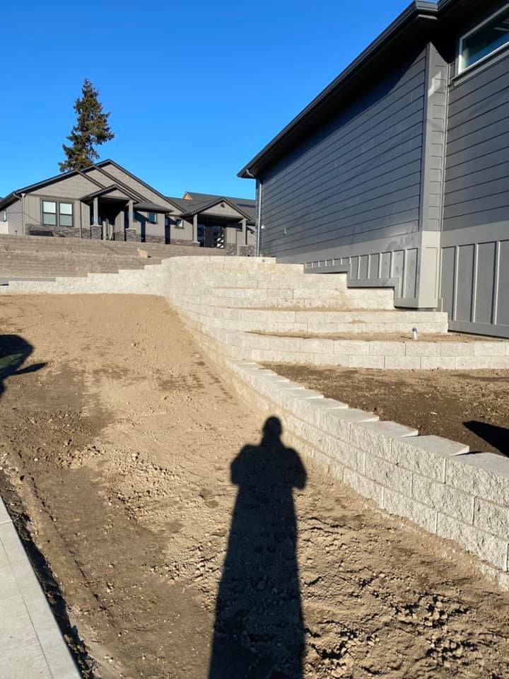 A shadow of a person is cast on the ground in front of a house.