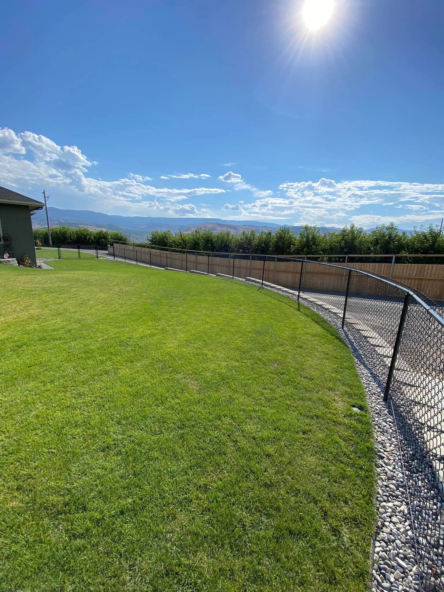 A lush green lawn with a chain link fence and a house in the background.