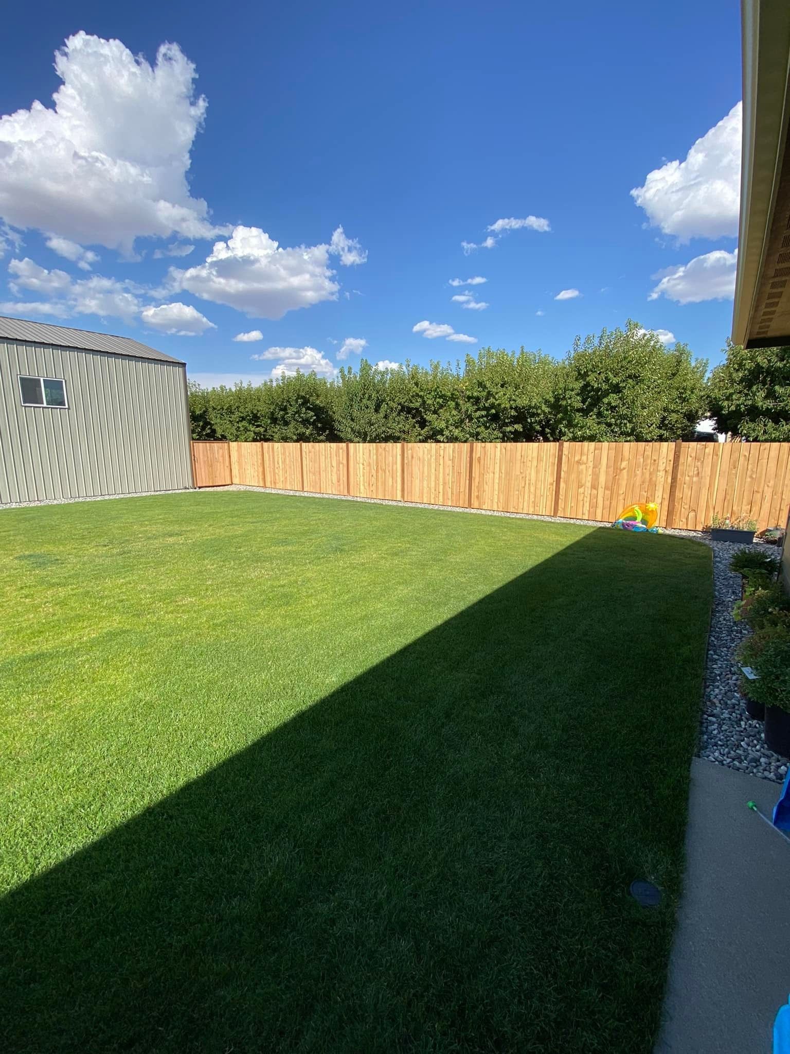 A backyard with a wooden fence and a lush green lawn.