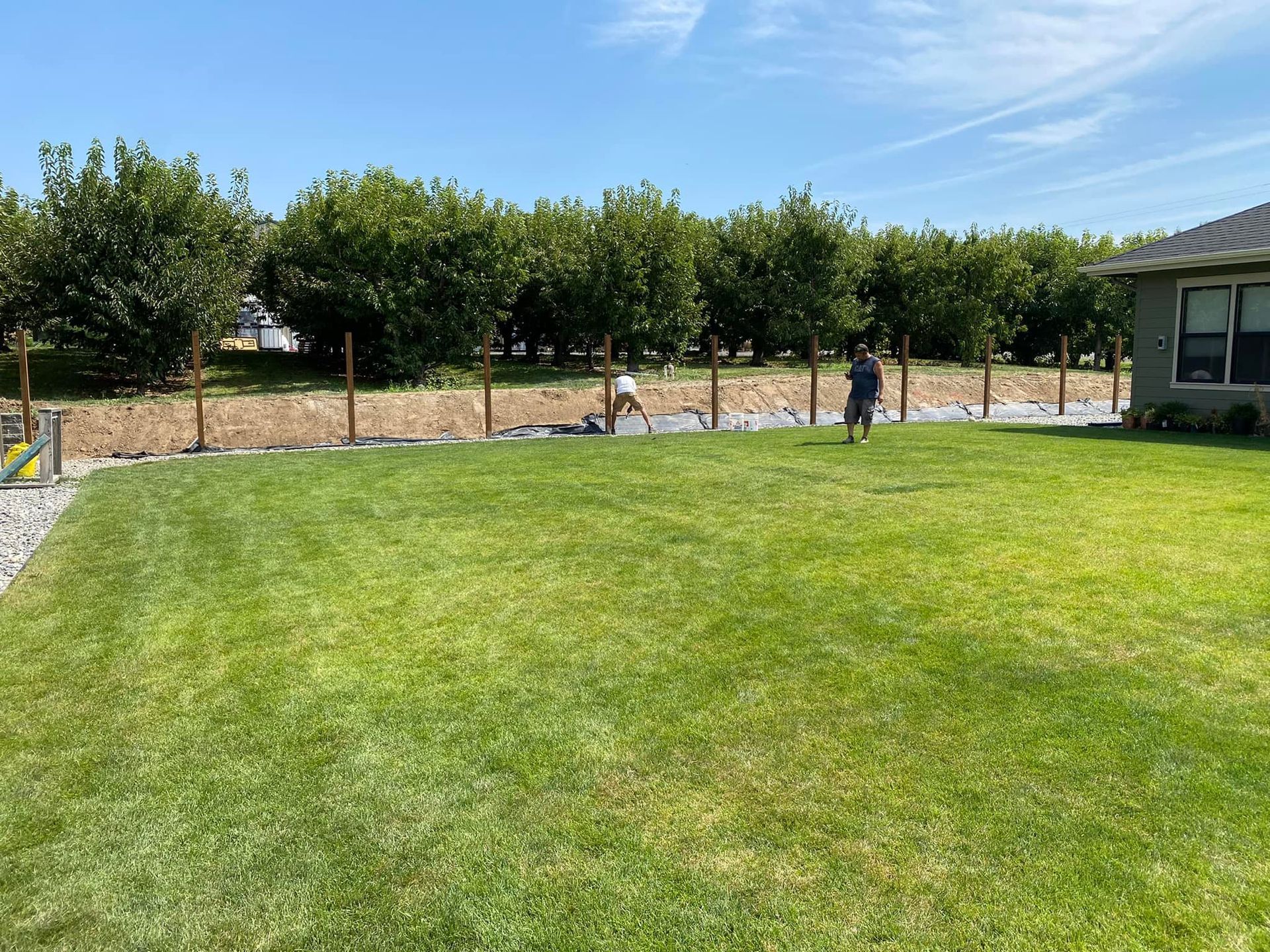 A man is standing in the middle of a lush green lawn in front of a house.