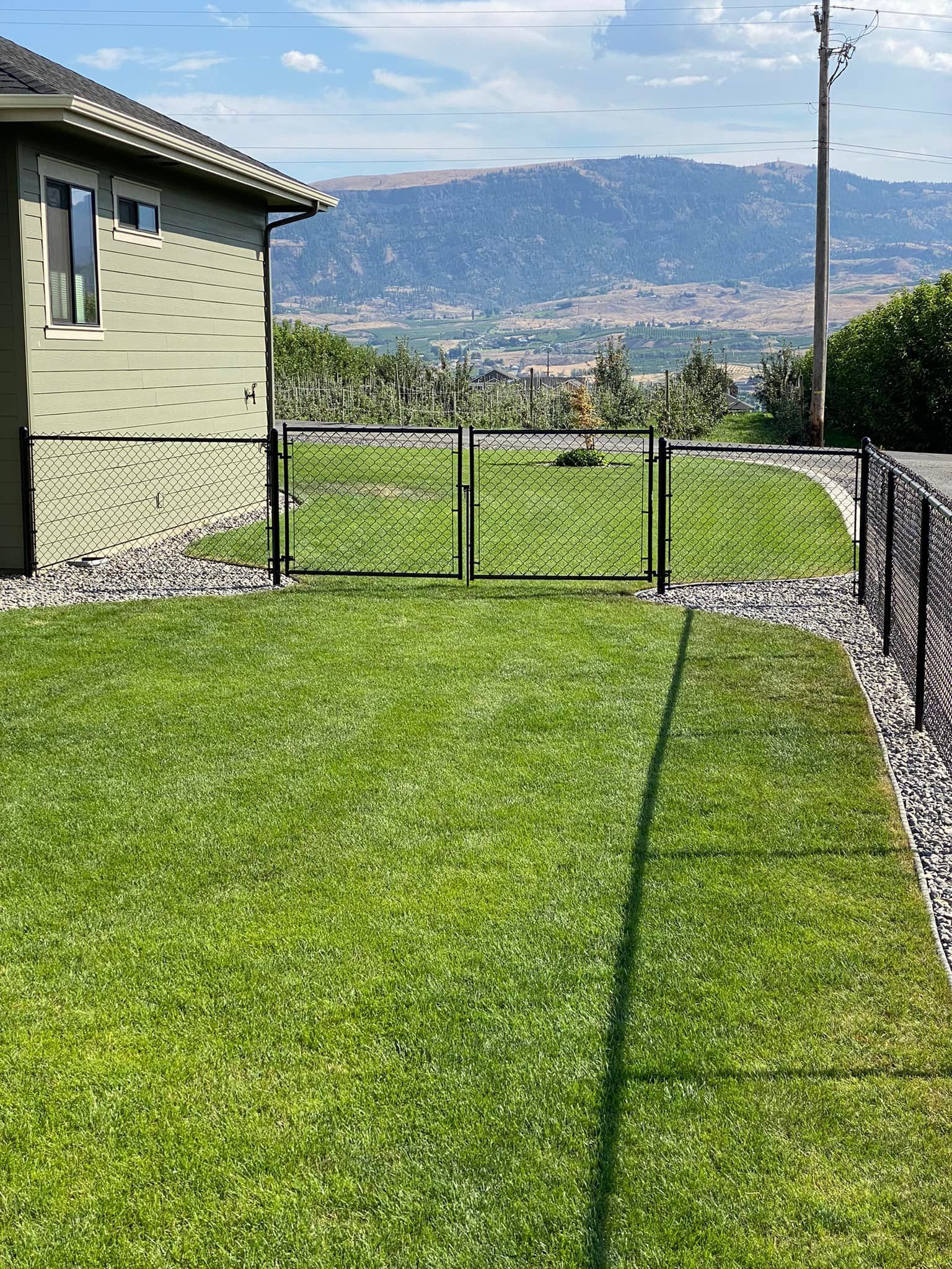 A lush green lawn with a chain link fence and a gate in front of a house.