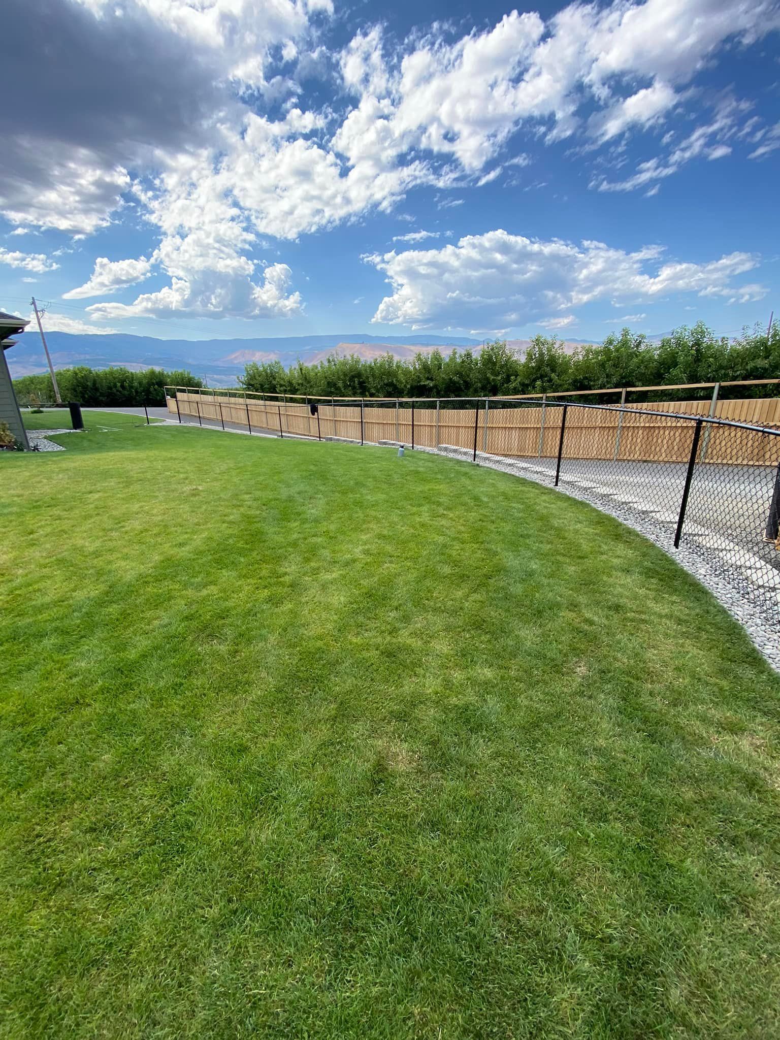A lush green lawn with a fence in the background and mountains in the background.