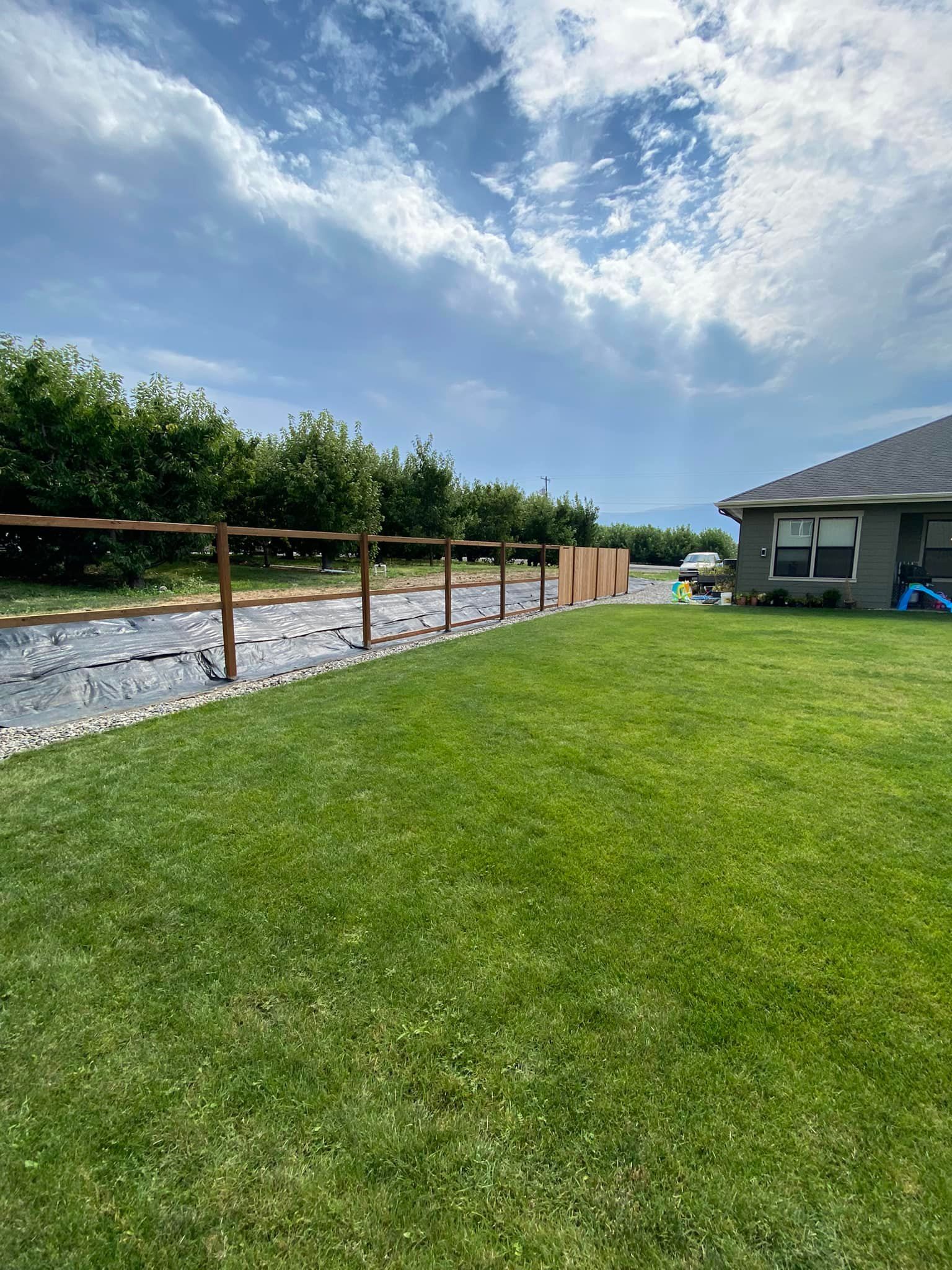 A lush green yard with a wooden fence and a house in the background.