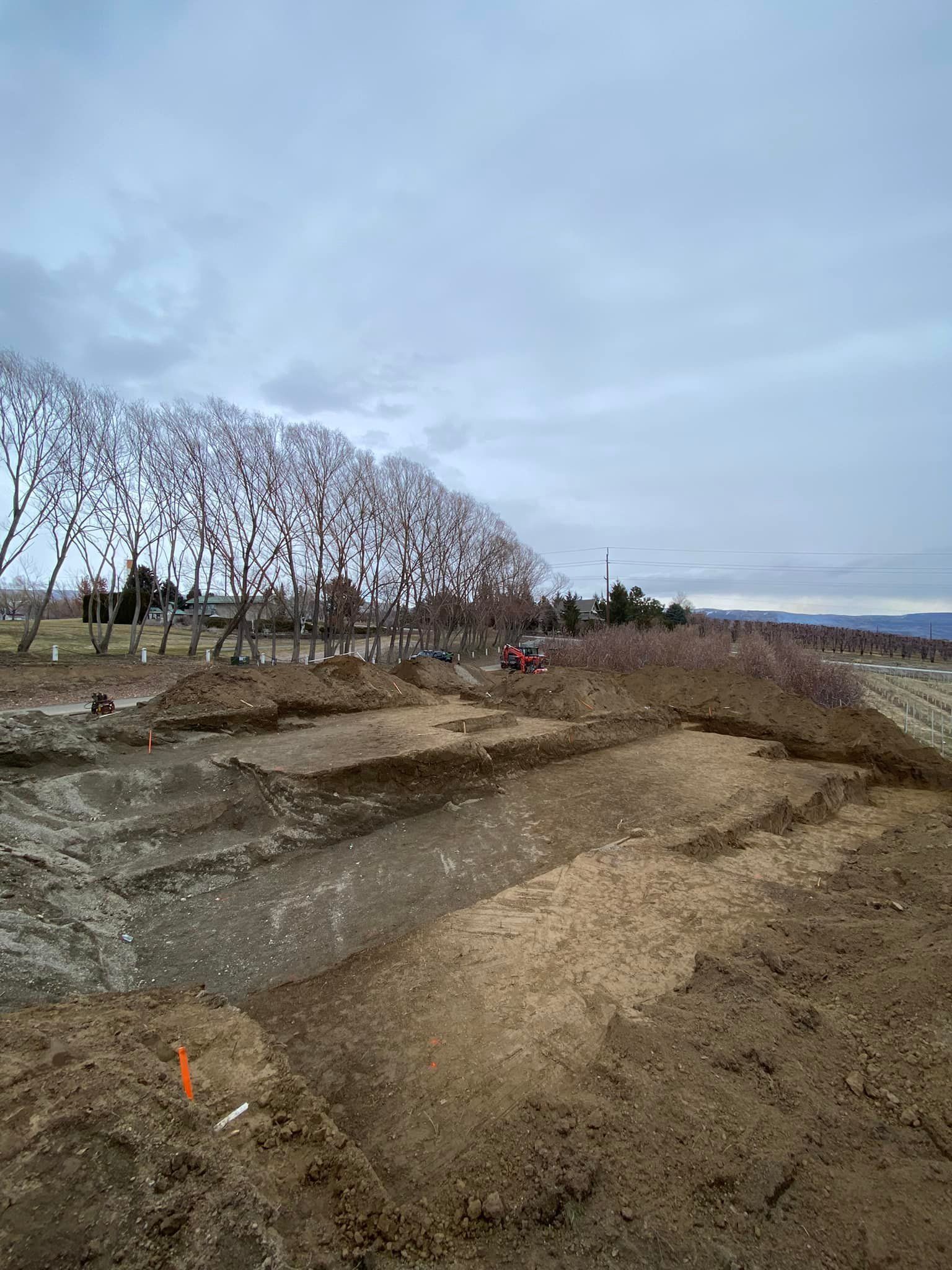 A dirt field with trees in the background and a cloudy sky.