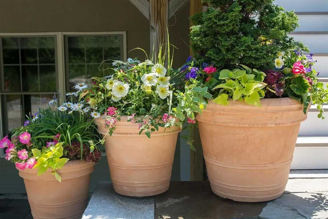 landscaping in Coastal Classic 18