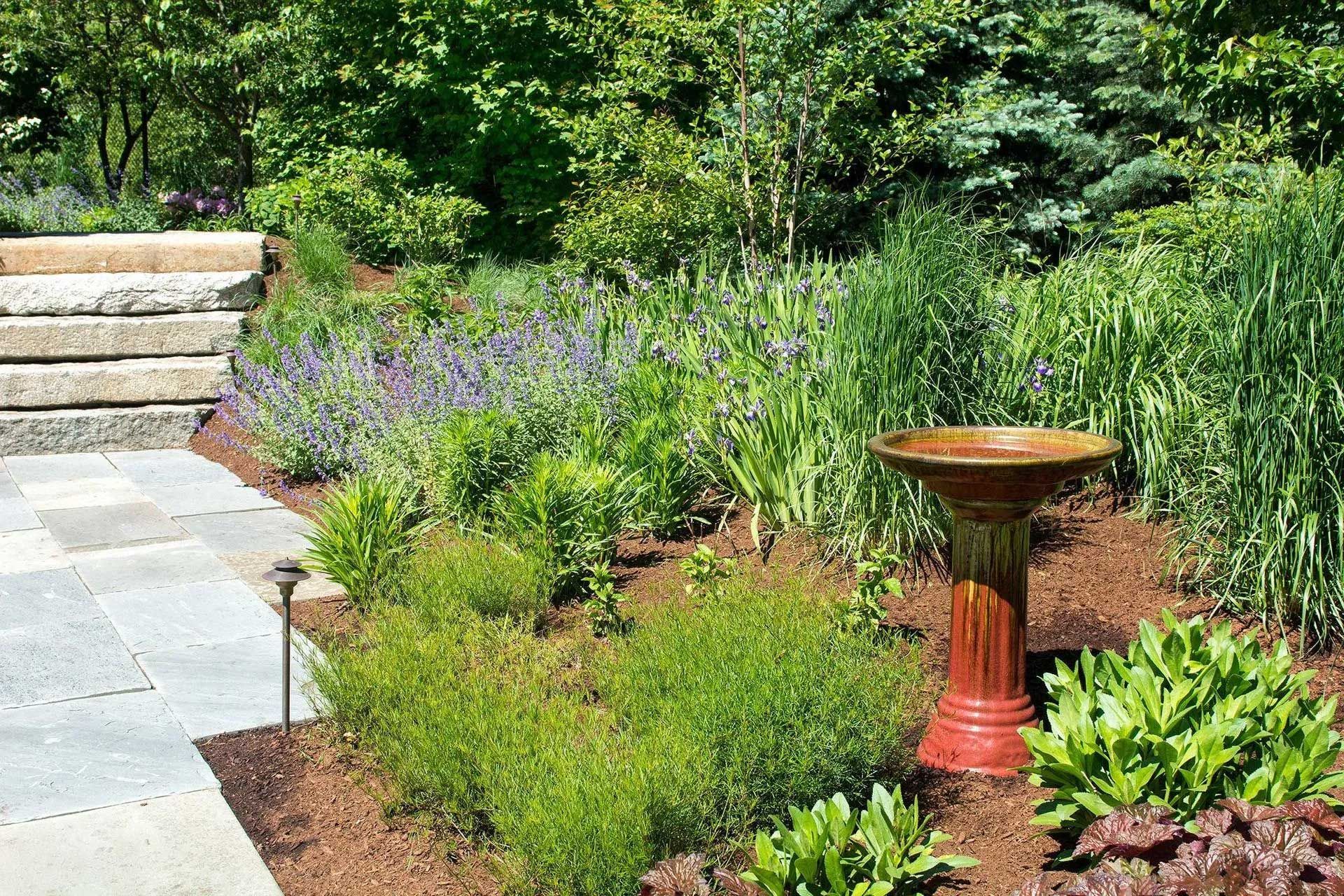 landscaping in Coastal Classic 30