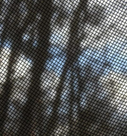 A Close Up of a Screen Door With a Shadow of Trees on It — Budget Screens & Awnings in South Lismore, NSW