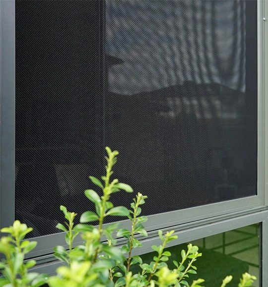 A Screened in Window With a Plant in Front of It — Budget Screens & Awnings in South Lismore, NSW