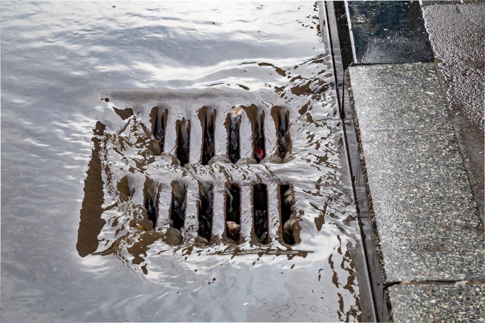 A Drain With A Reflection Of A Person In It — Shannon Malone Plumbing In Gerringong, NSW