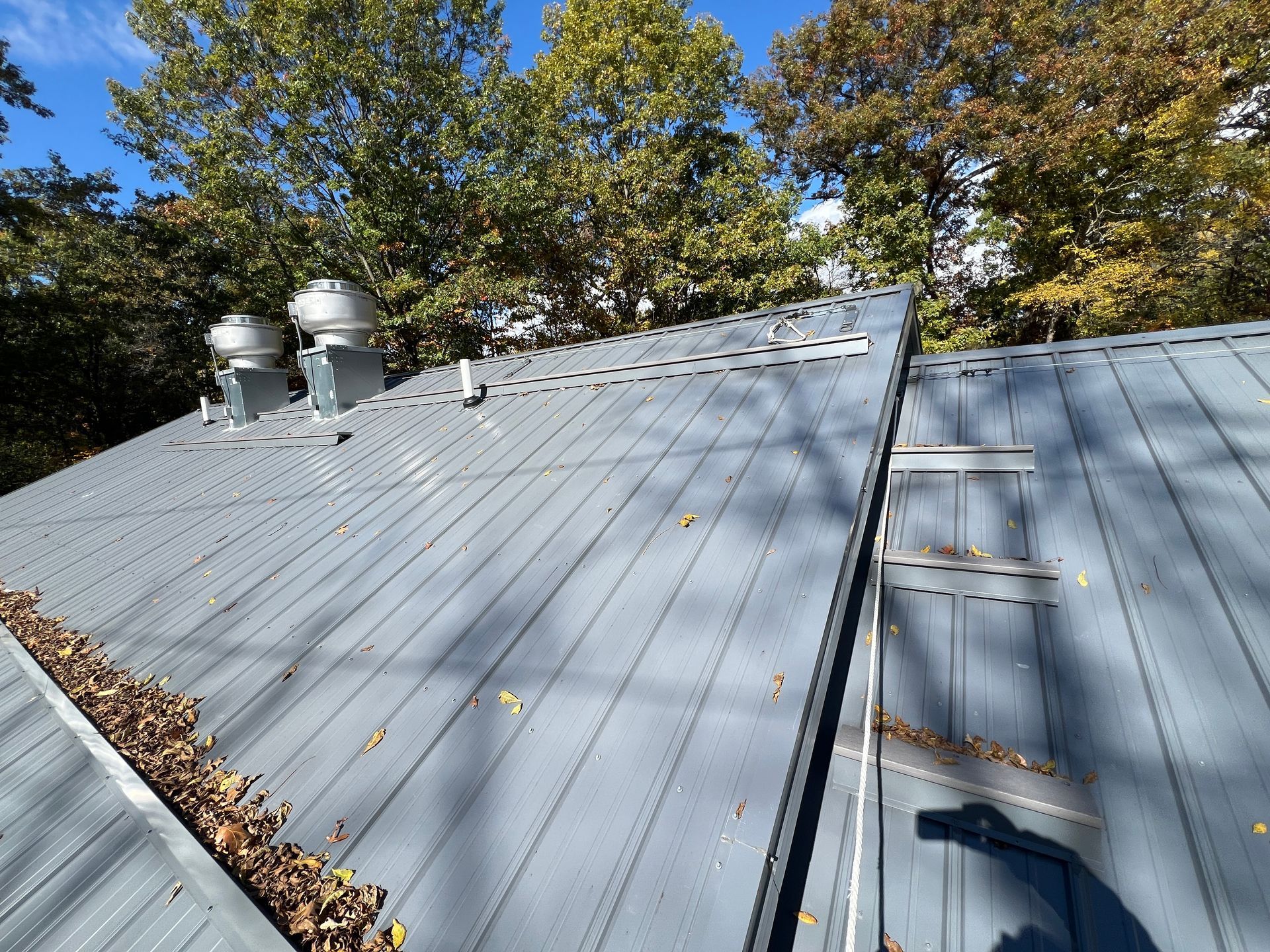 Gray metal roof with vents, ladder, and fall leaves, surrounded by trees.