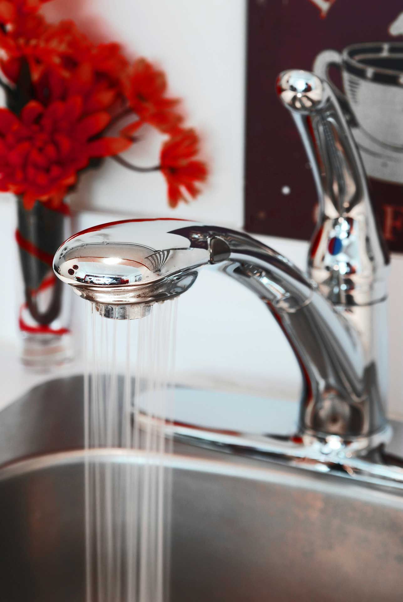 Chrome faucet with water running into a stainless steel sink, red flowers in background.
