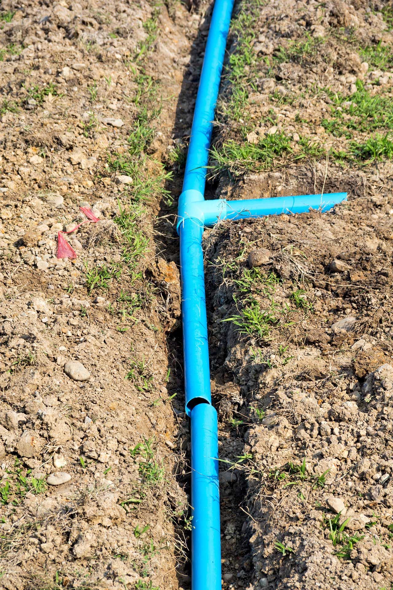 Blue irrigation pipes laid in a trench in a dirt field.