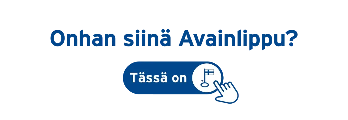 Suomalainen maalausliike