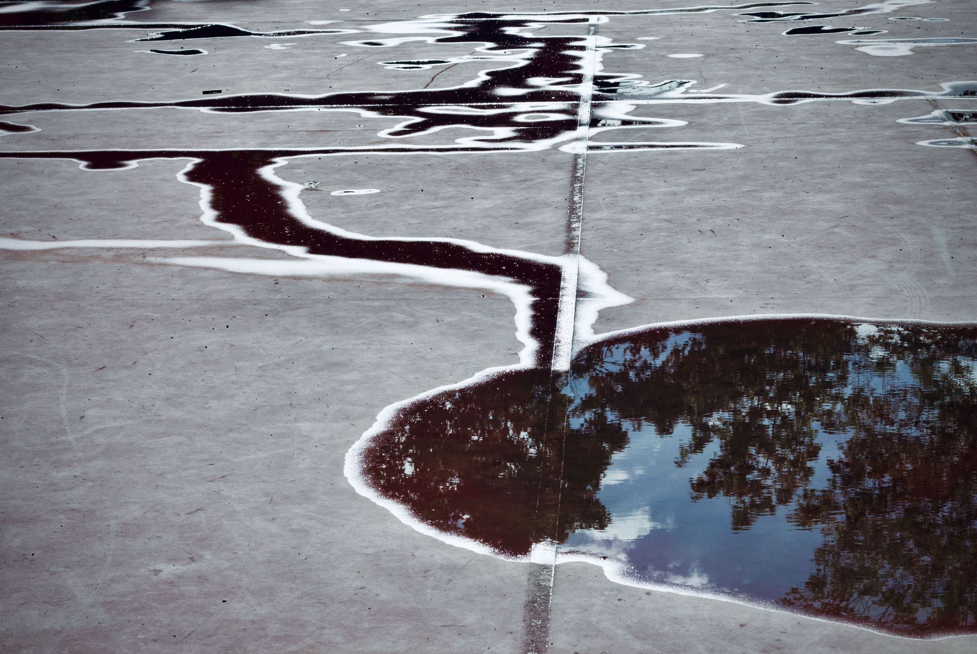 Cracked pavement with a puddle reflecting the sky and trees