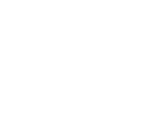ENKO SYSTEMS logo