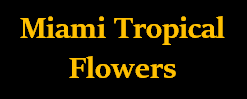 Miami Tropical Flowers logo