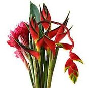 image of flowers