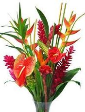 image of flowers