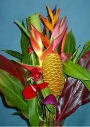 image of flowers