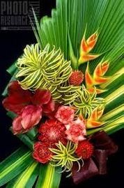 image of flowers