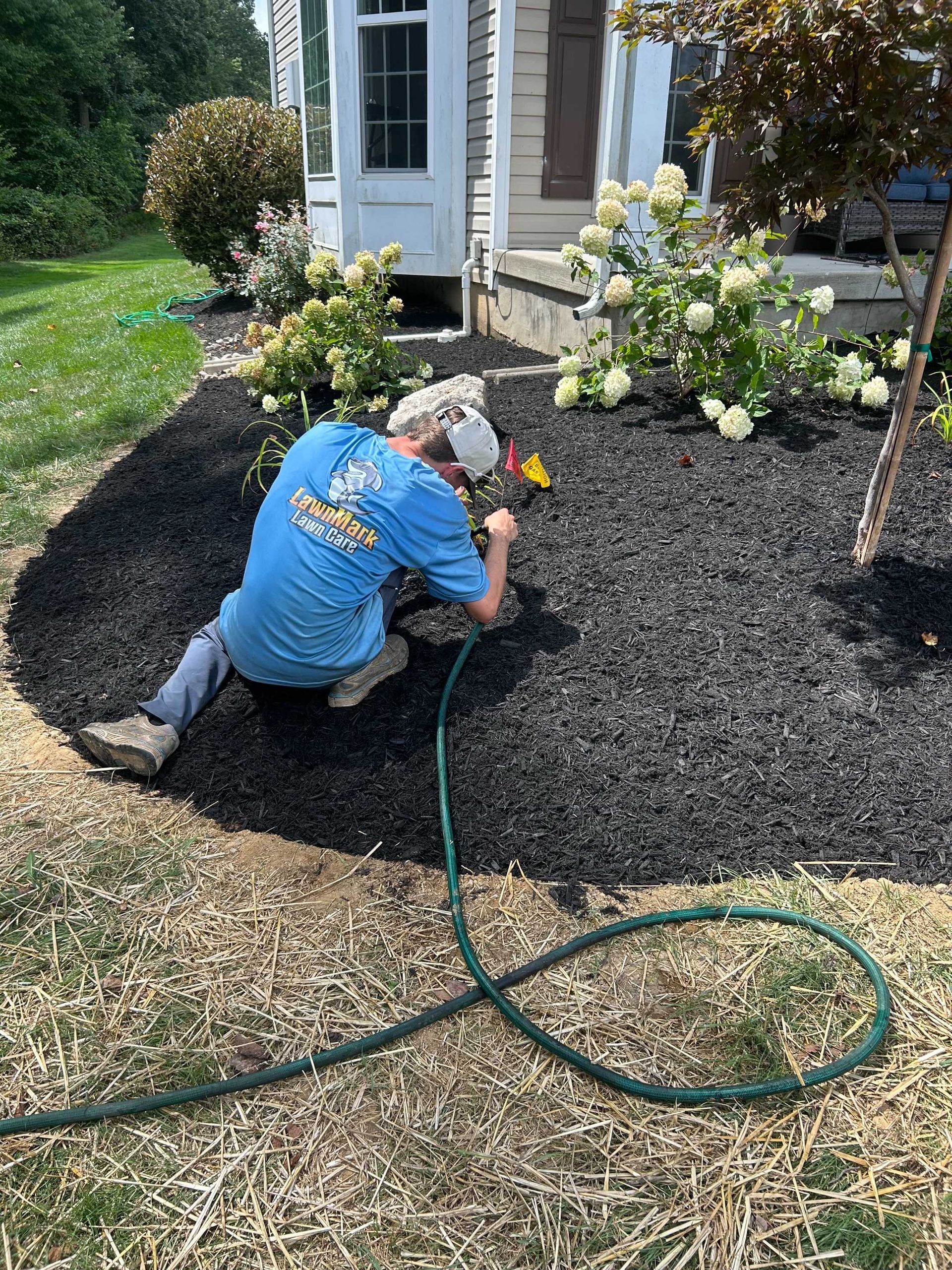 Person kneeling in a flower bed spraying water with a green hose; black mulch, white flowers, and a house in the background.