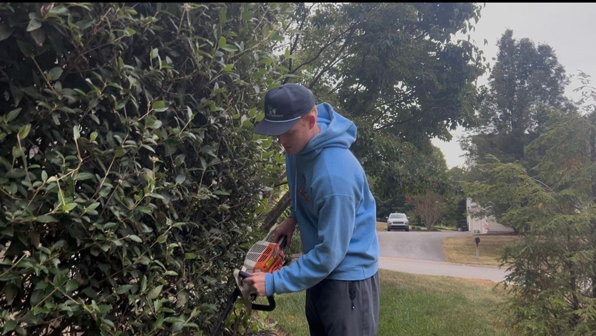 Person trimming a hedge with a hedge trimmer outdoors.