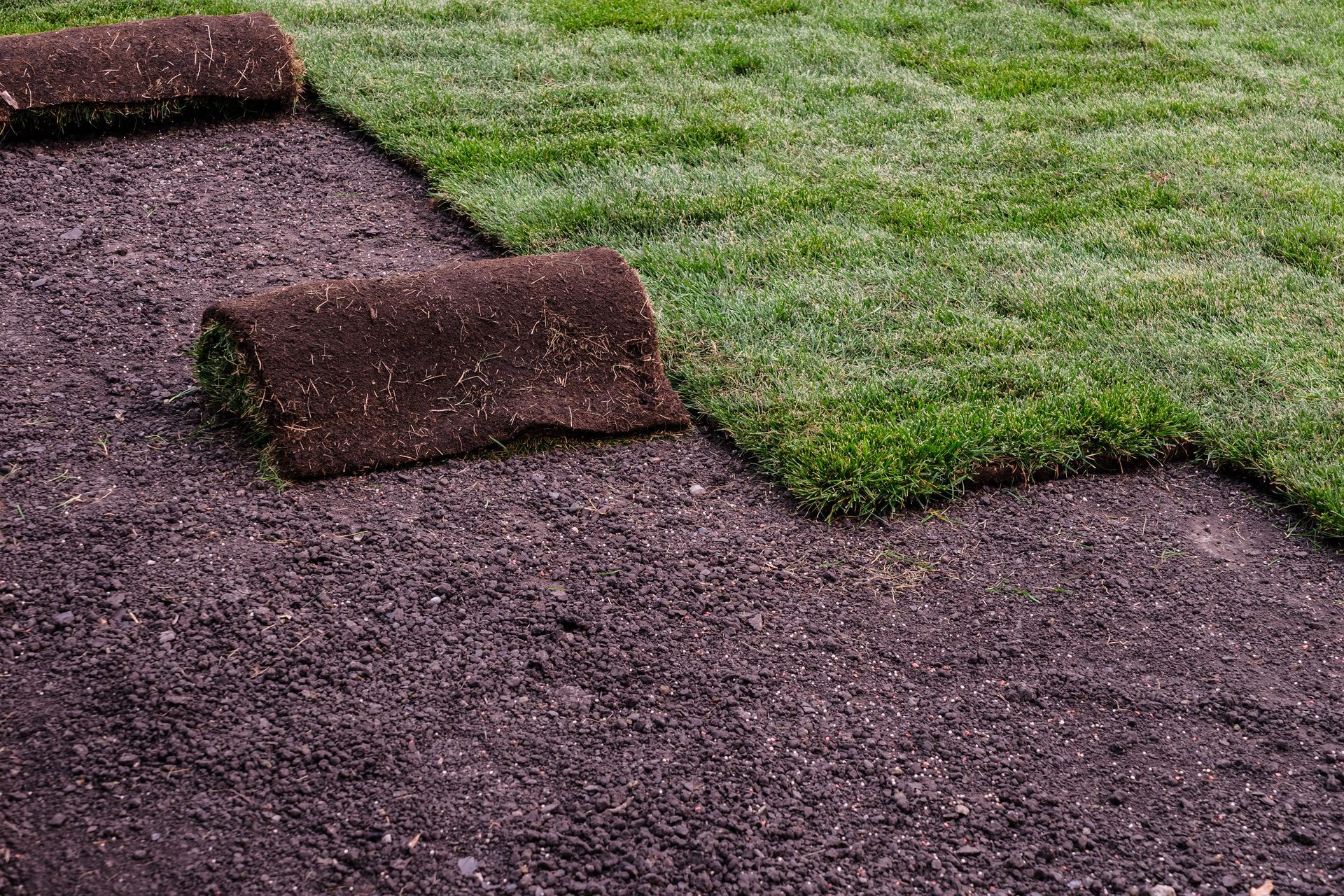 Grass rolls laid on dark soil, ready for installation.