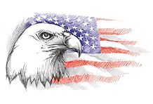 Bald eagle profile with American flag backdrop.